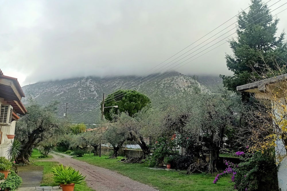 Photo of Outdoor in Gefira Mpania