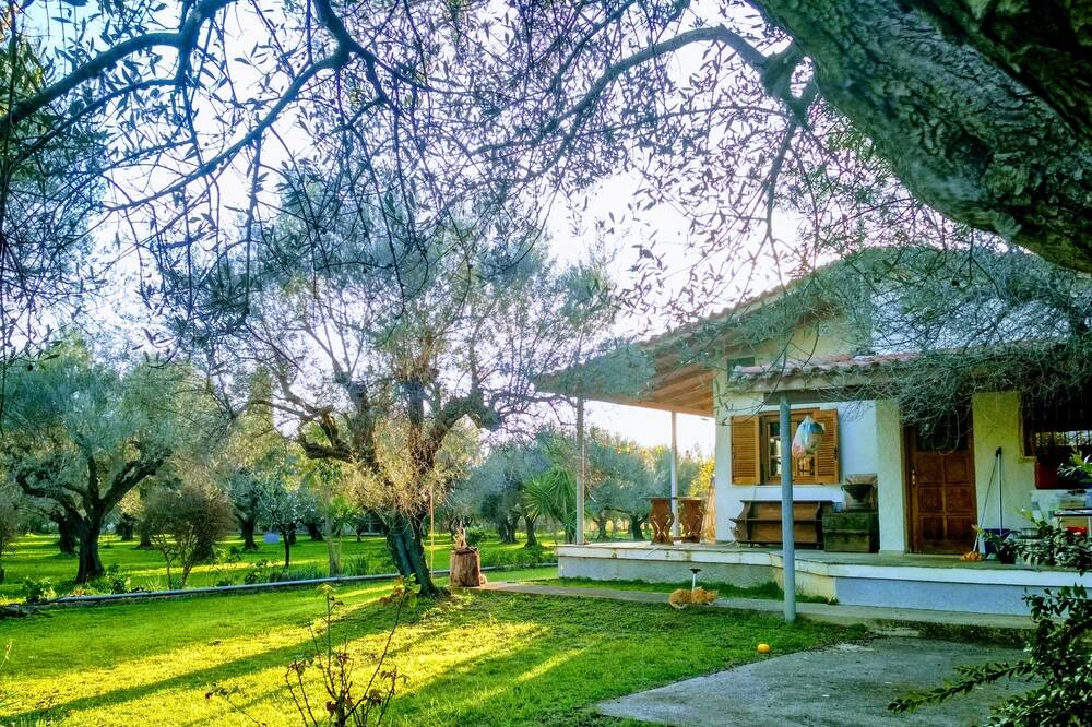 Photo of Outdoor in Gefira Mpania