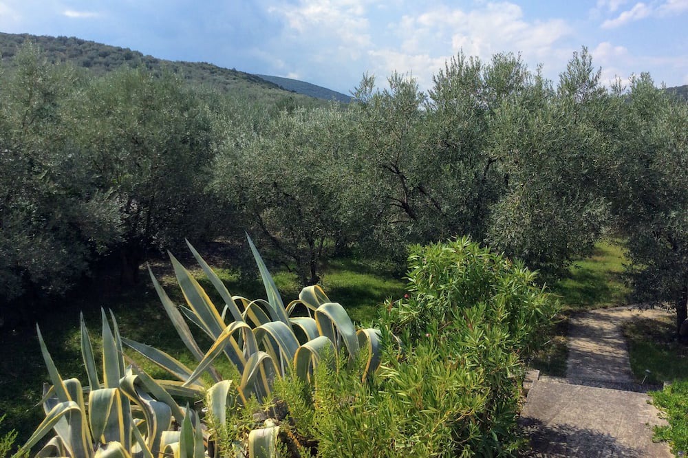 Photo of Outdoor in Pella Region