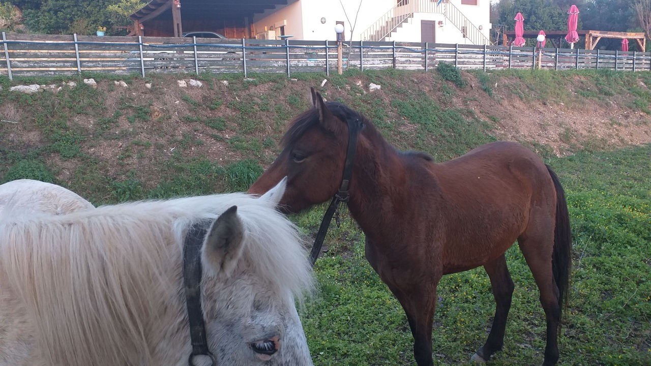 Photo of Outdoor in Kato Valsamonero