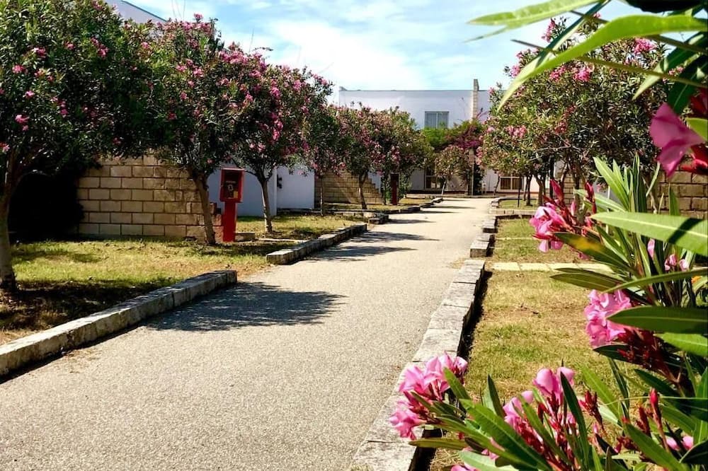 Photo of Outdoor in Drosia