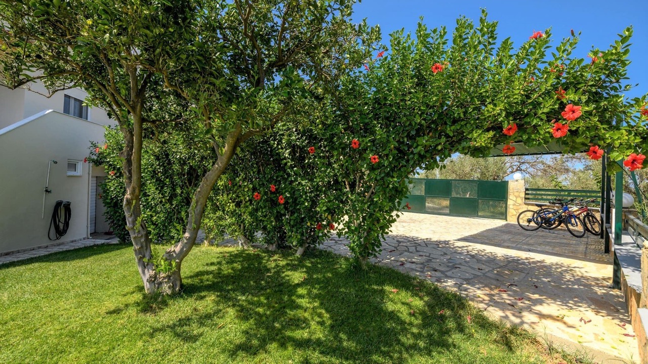 Photo of Outdoor in Kirianna