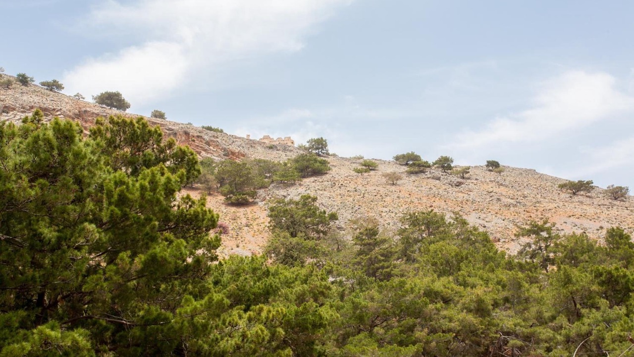 Photo of Outdoor in Agia Roumeli