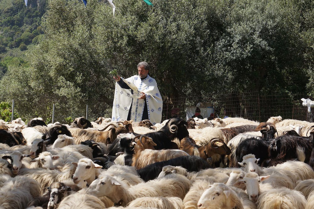 Photo of Others in Apokoronas