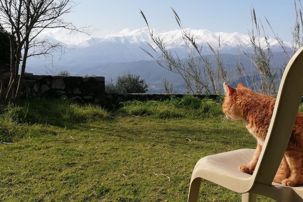 Photo of Outdoor in Apokoronas