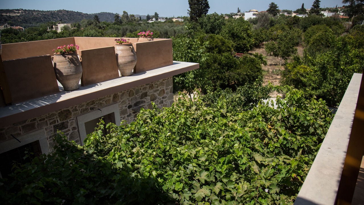 Photo of Outdoor in Faneromeni
