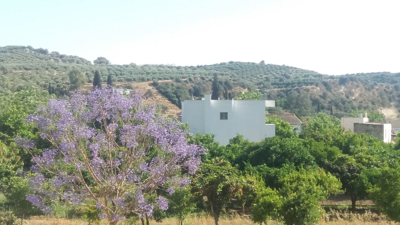 Photo of Outdoor in Faneromeni