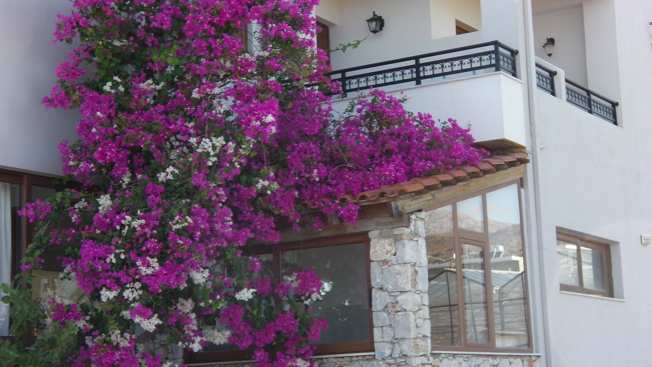 Photo of Outdoor in Gialos