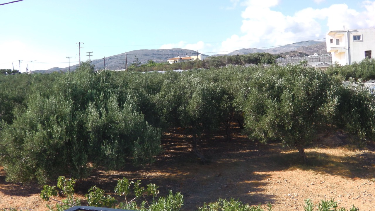 Photo of Bedroom in Gialos