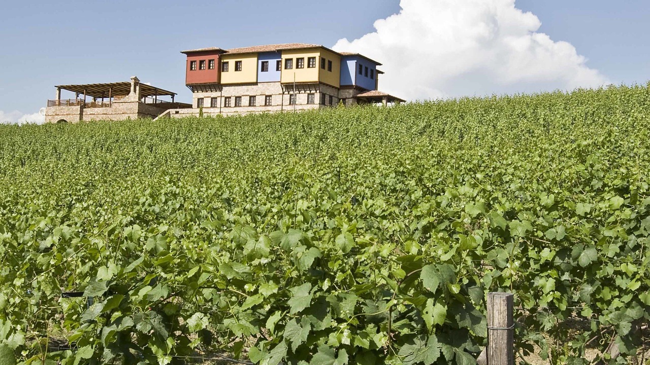 Photo of Outdoor in Vergina