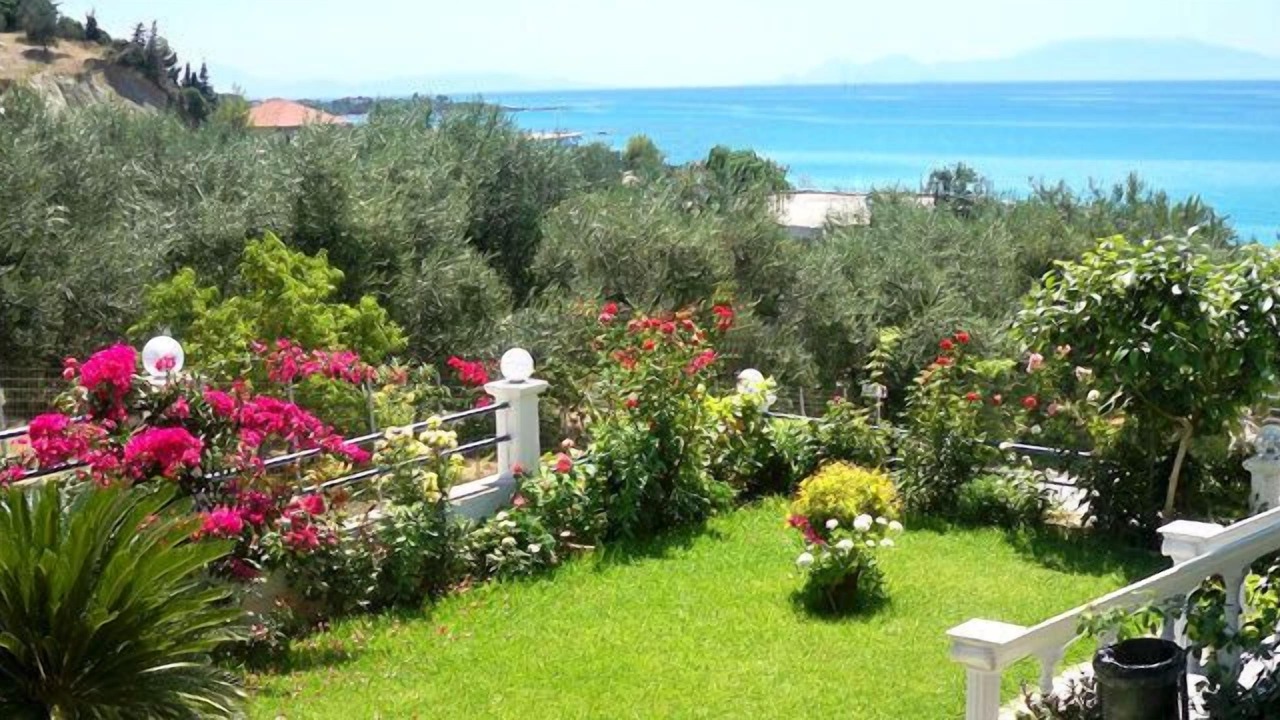 Photo of Others in Lygia