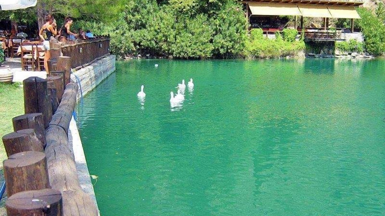 Photo of Others in Zaros