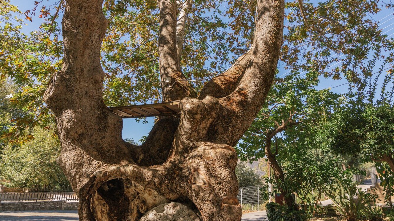 Photo of Outdoor in Zaros