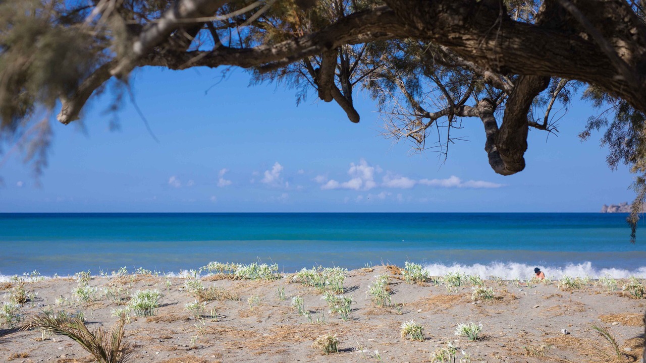 Photo of Others in Agios Vasileios