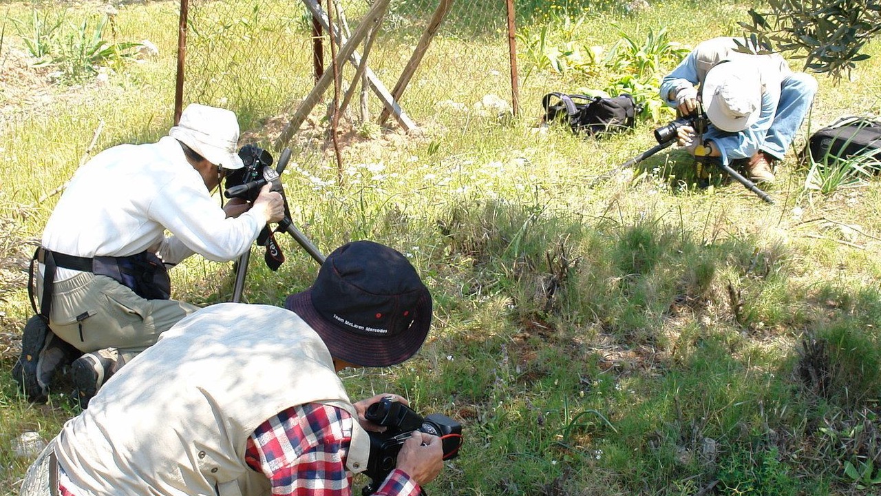 Photo of Outdoor in Avgonima