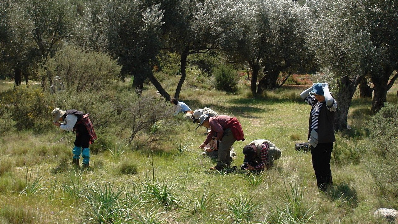 Photo of Others in Avgonima