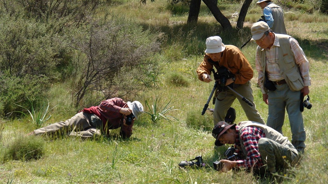 Photo of Outdoor in Avgonima