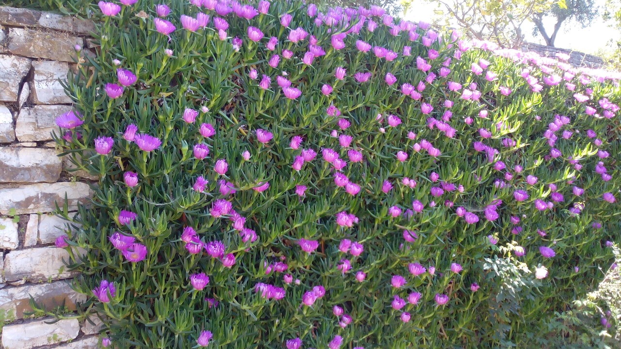 Photo of Outdoor in Sparton