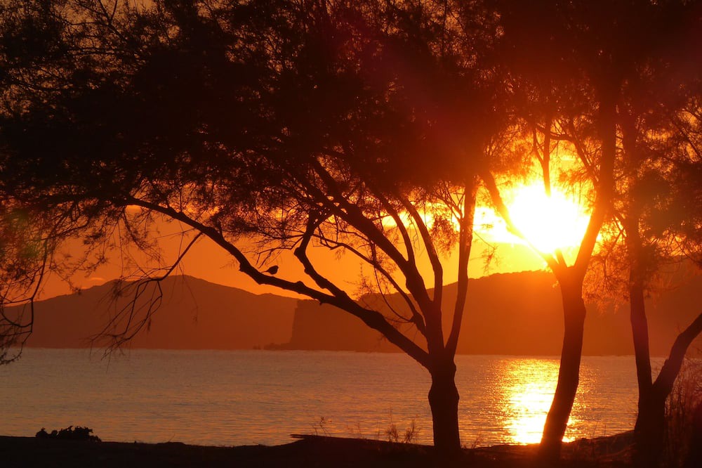 Photo of Others in Foinikounta