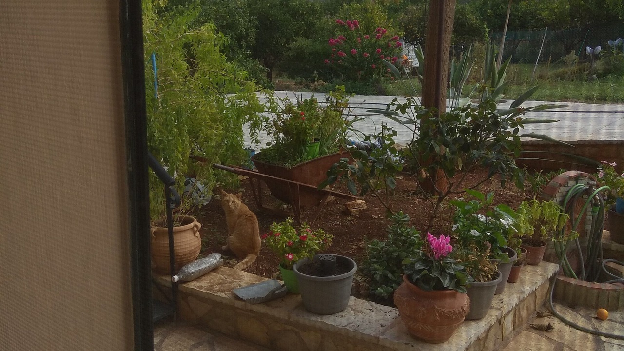 Photo of Outdoor in Kato Diminio