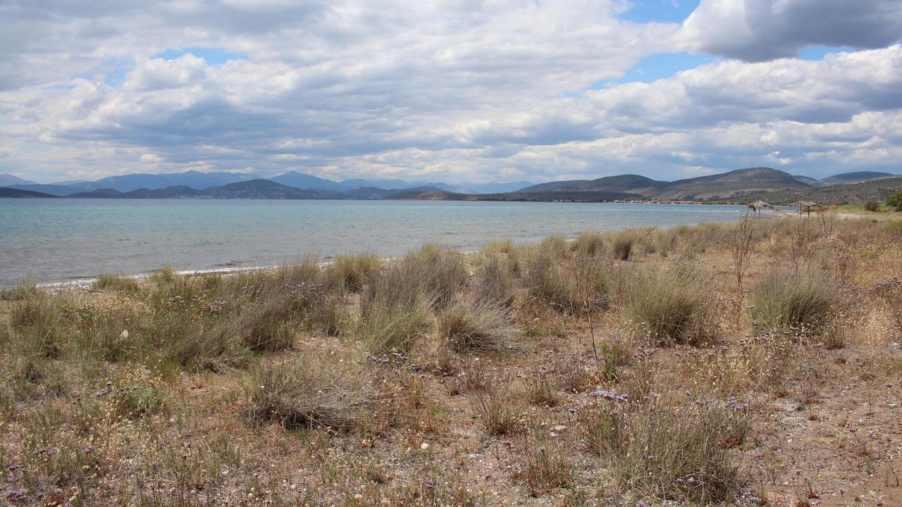 Photo of Others in Kilada