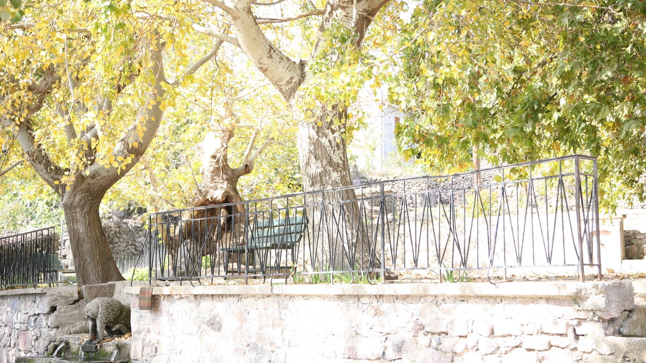 Photo of Outdoor in Lesbos