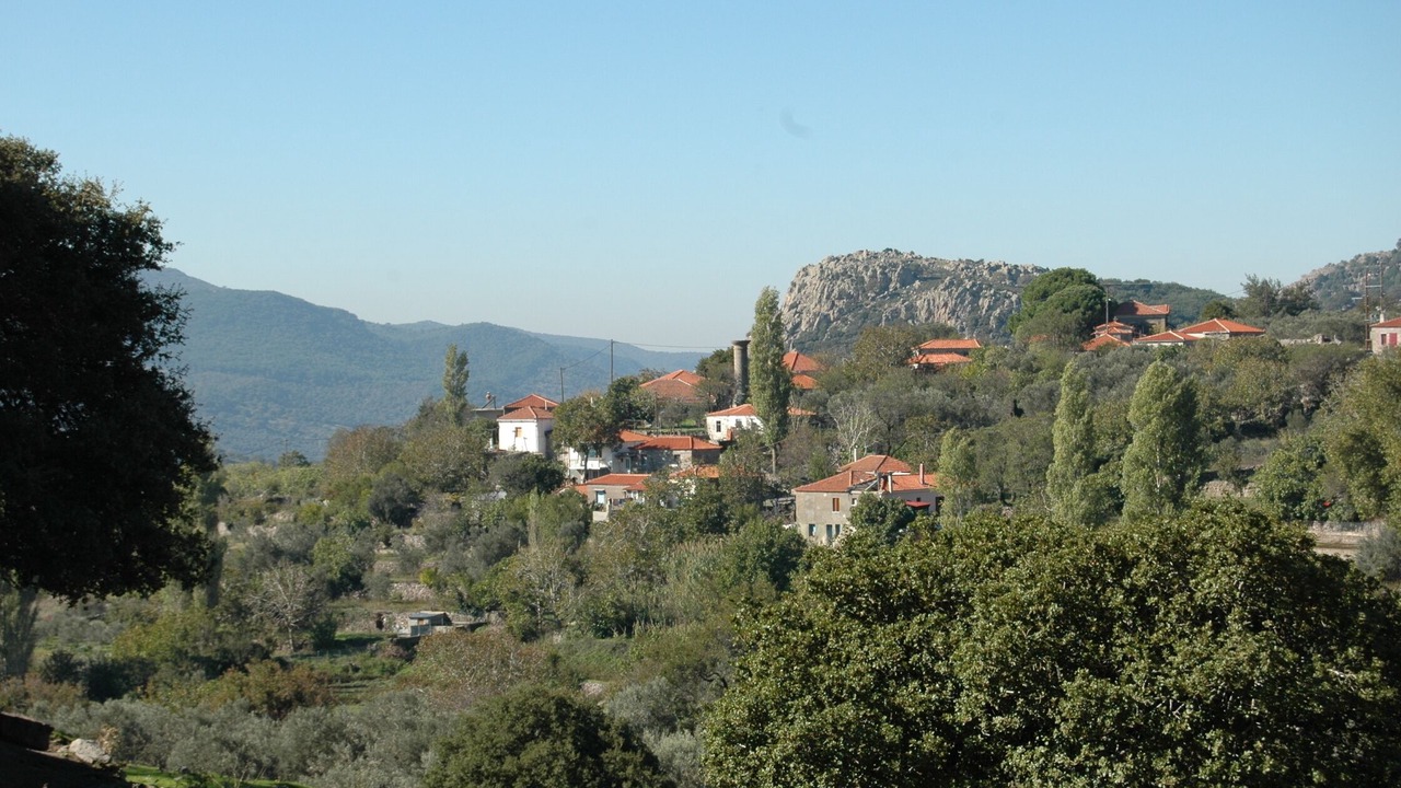 Photo of Outdoor in Lesbos