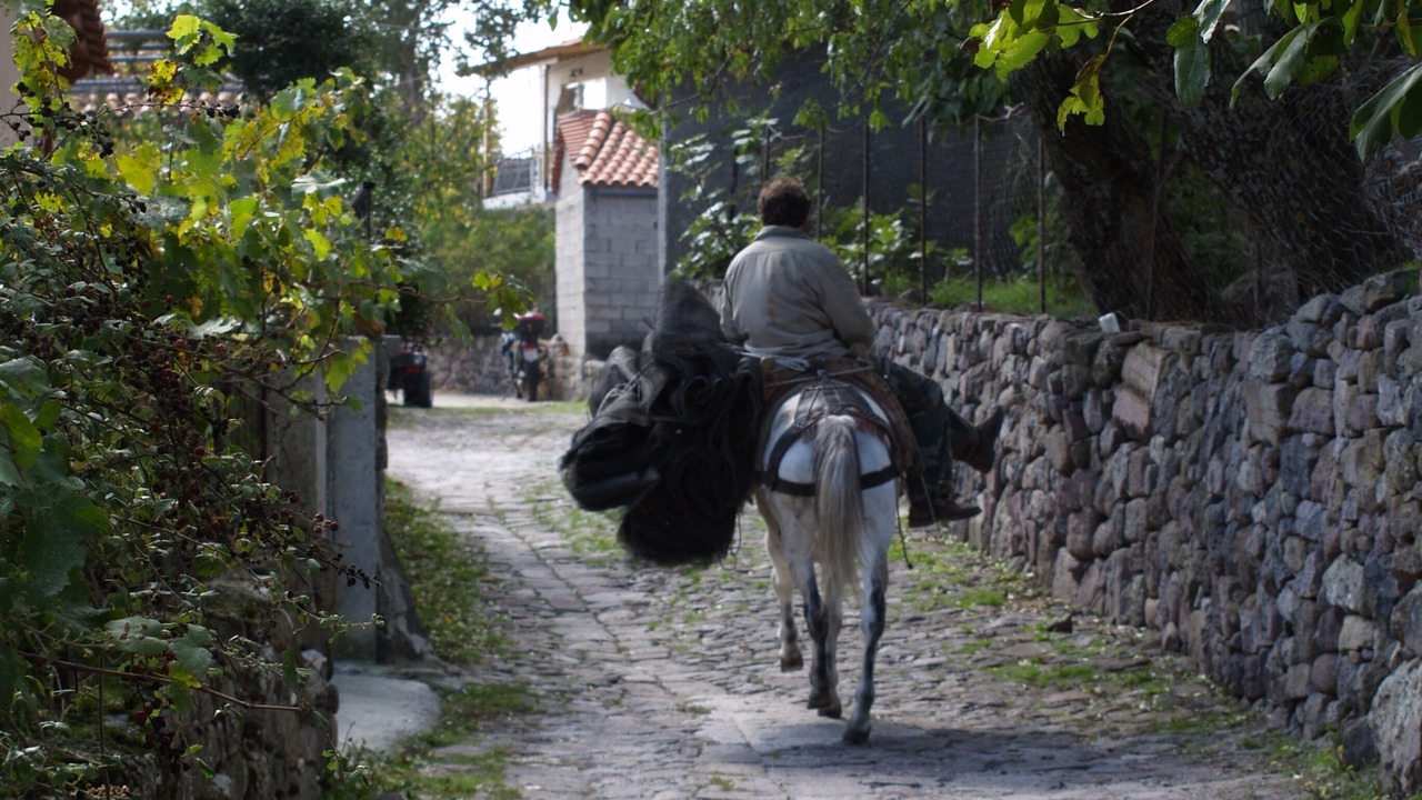 Photo of Outdoor in Lesbos