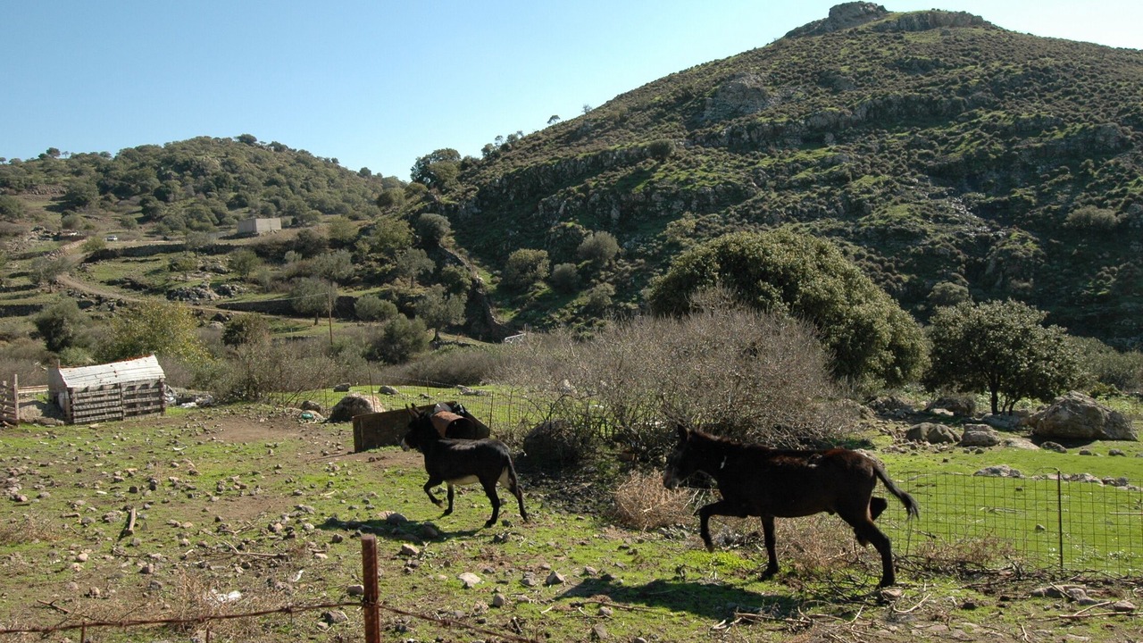 Photo of Outdoor in Lesbos