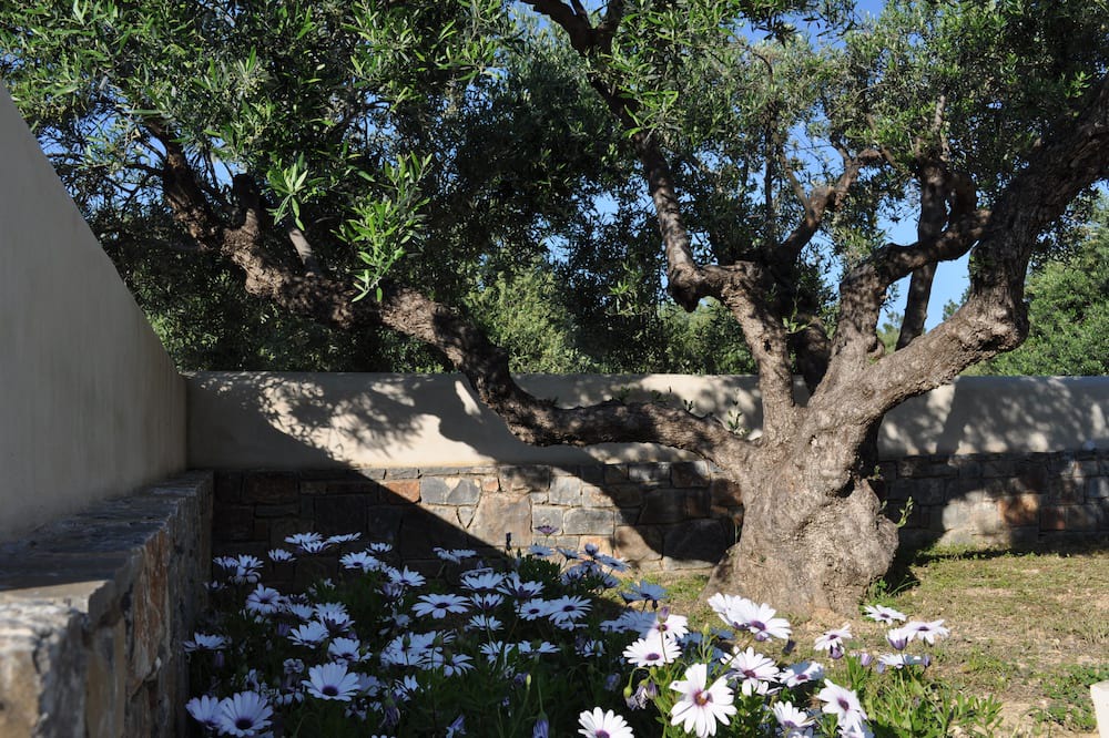 Photo of Outdoor in Old Hersonissos