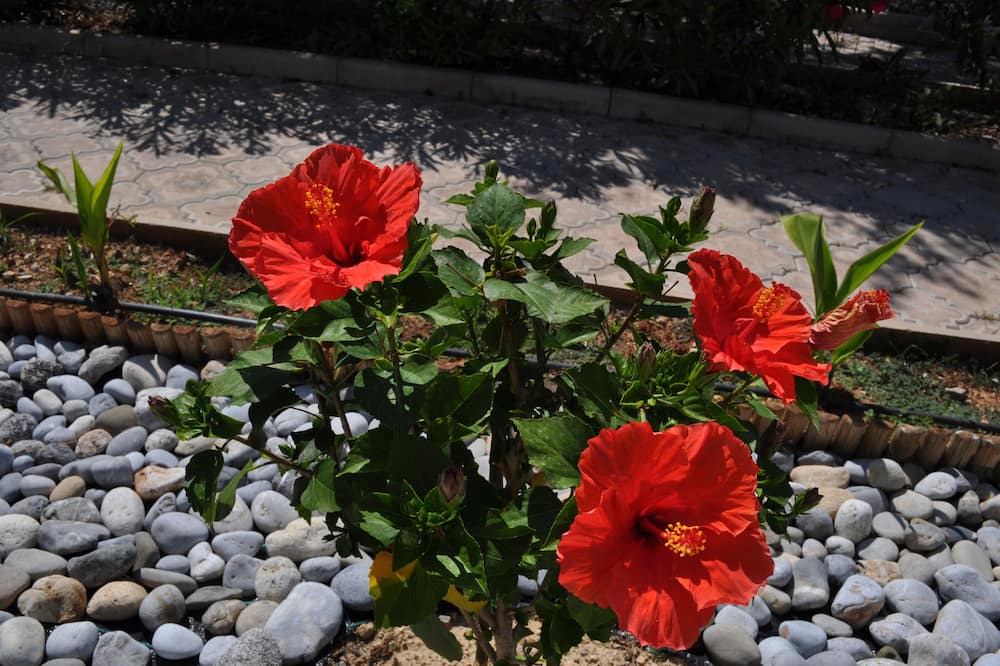 Photo of Outdoor in Old Hersonissos