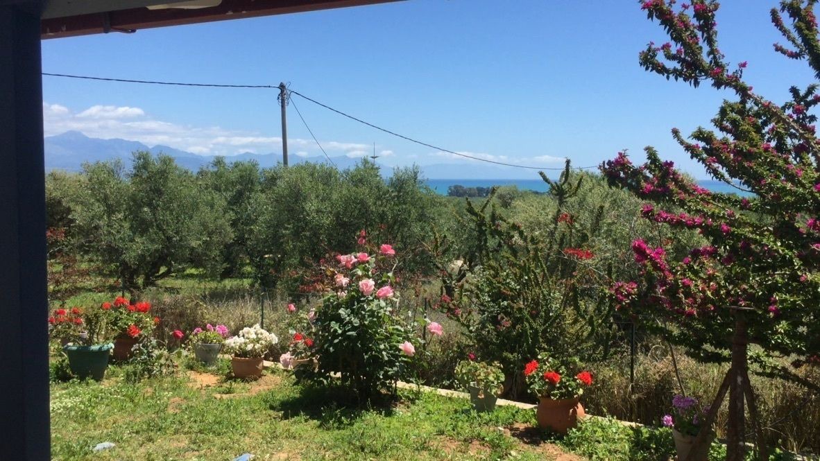 Photo of Outdoor in Drakoneri