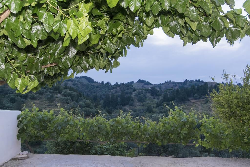 Photo of Outdoor in Loulos