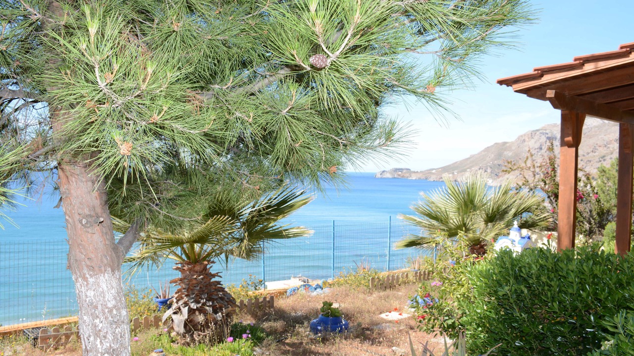 Photo of Outdoor in Tsoutsouros
