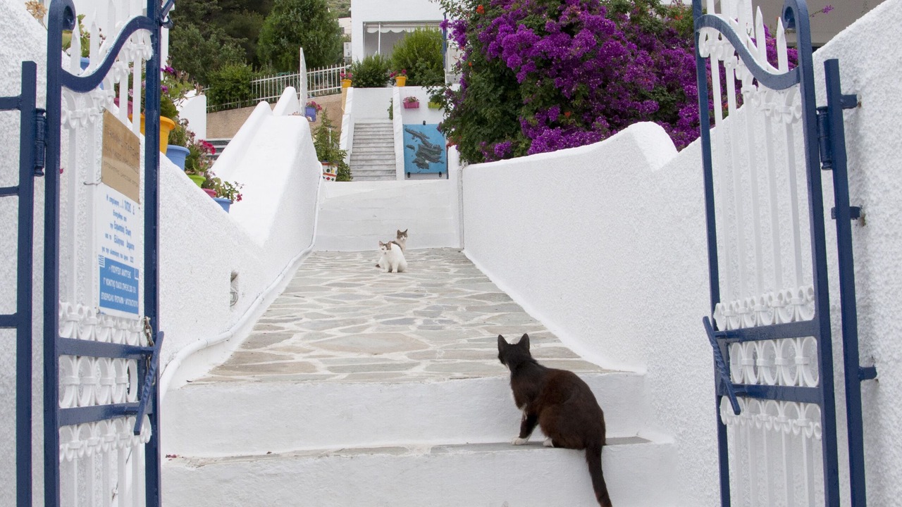Photo of Outdoor in Massouri