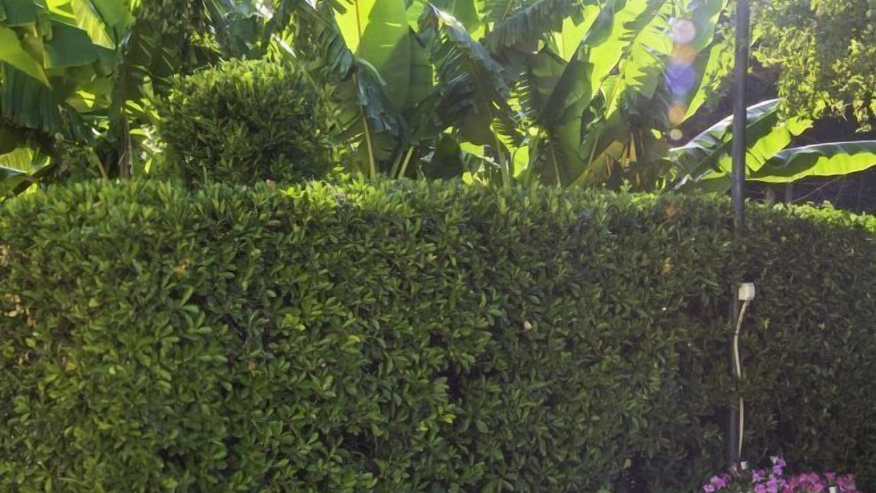 Photo of Outdoor in Agios Georgios Pagon