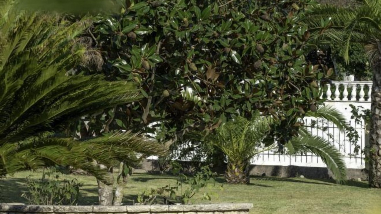 Photo of Outdoor in Agios Georgios Pagon