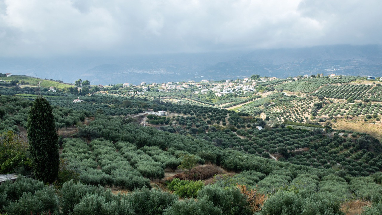 Photo of Outdoor in Petrokefalo