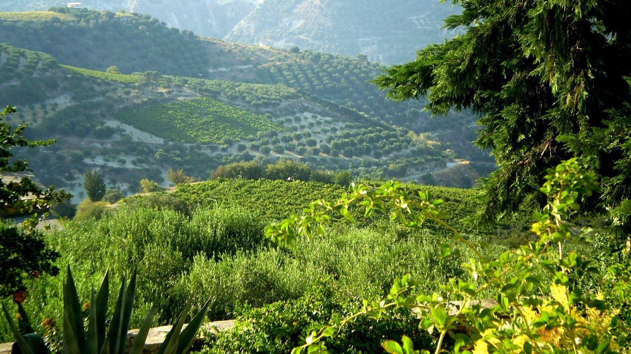 Photo of Outdoor in Petrokefalo