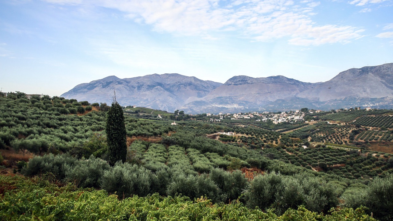 Photo of Outdoor in Petrokefalo