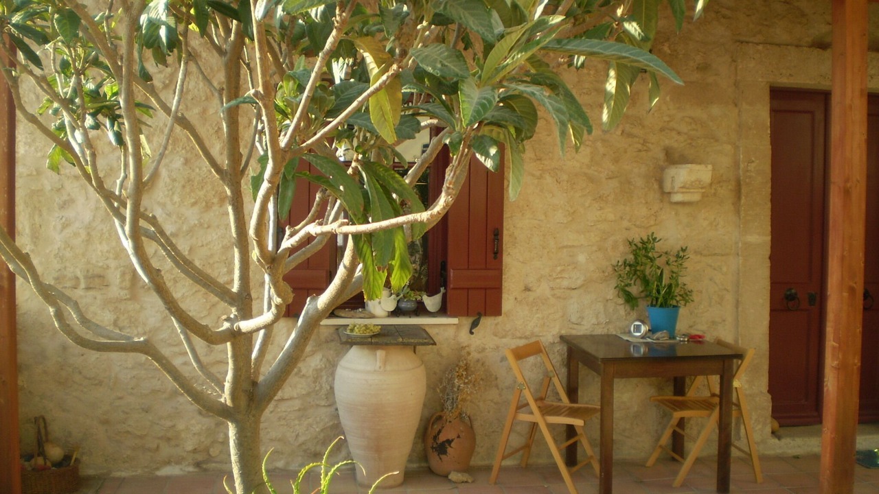 Photo of Outdoor in Petrokefalo