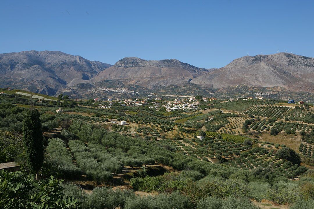 Photo of Others in Petrokefalo