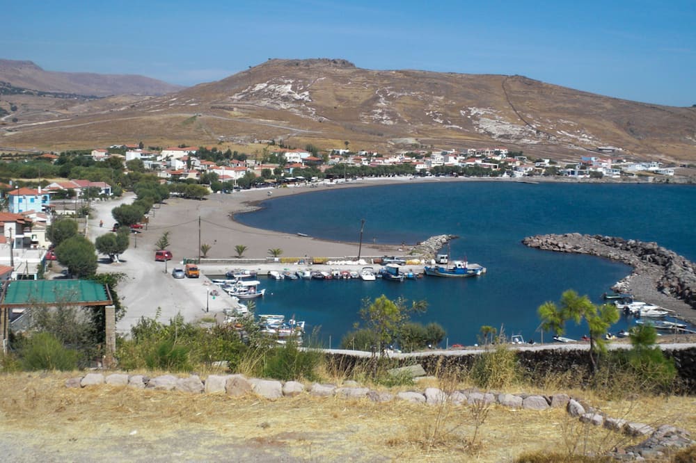 Photo of Others in Tavari