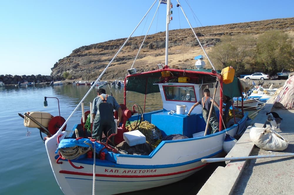 Photo of Others in Tavari