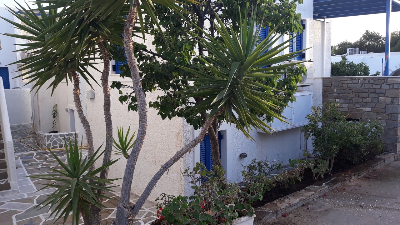 Photo of Outdoor in Aliki