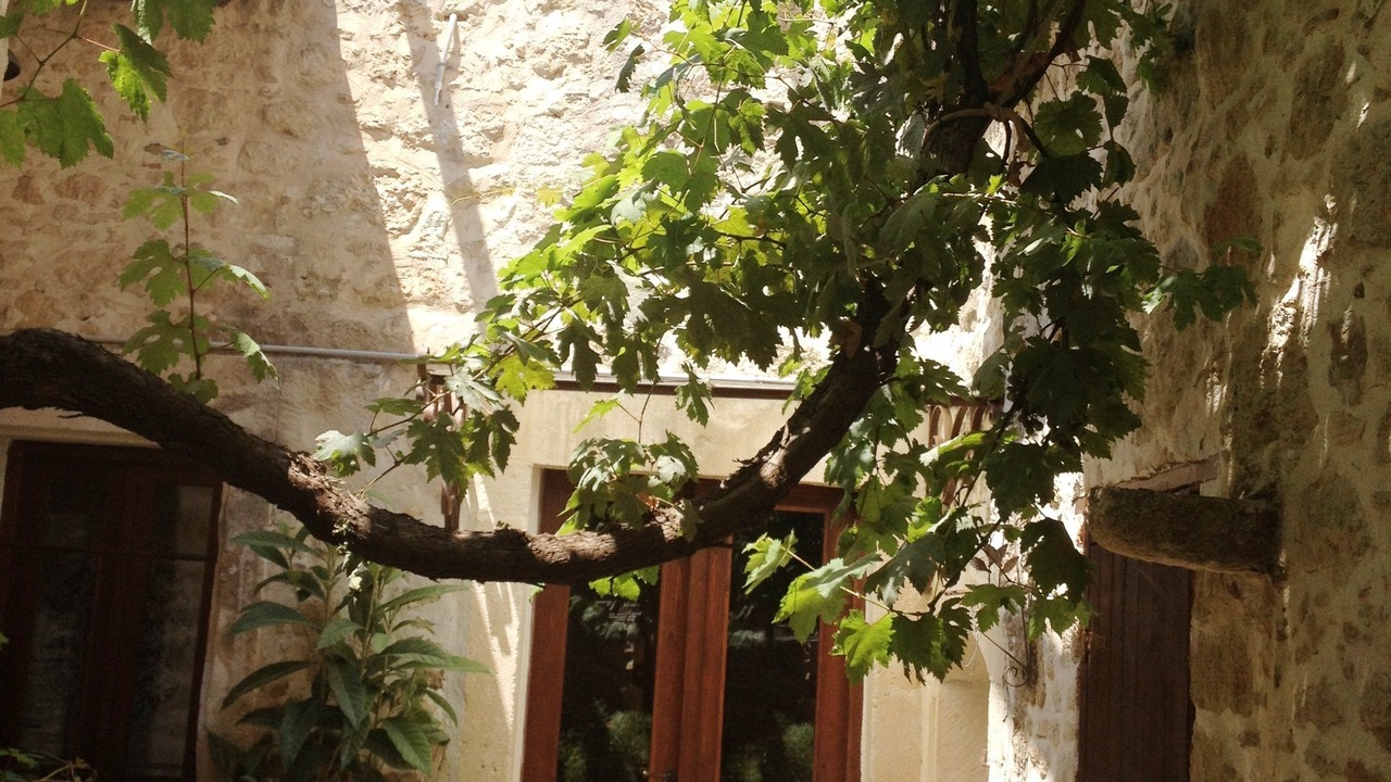 Photo of Others in Agios Myronas