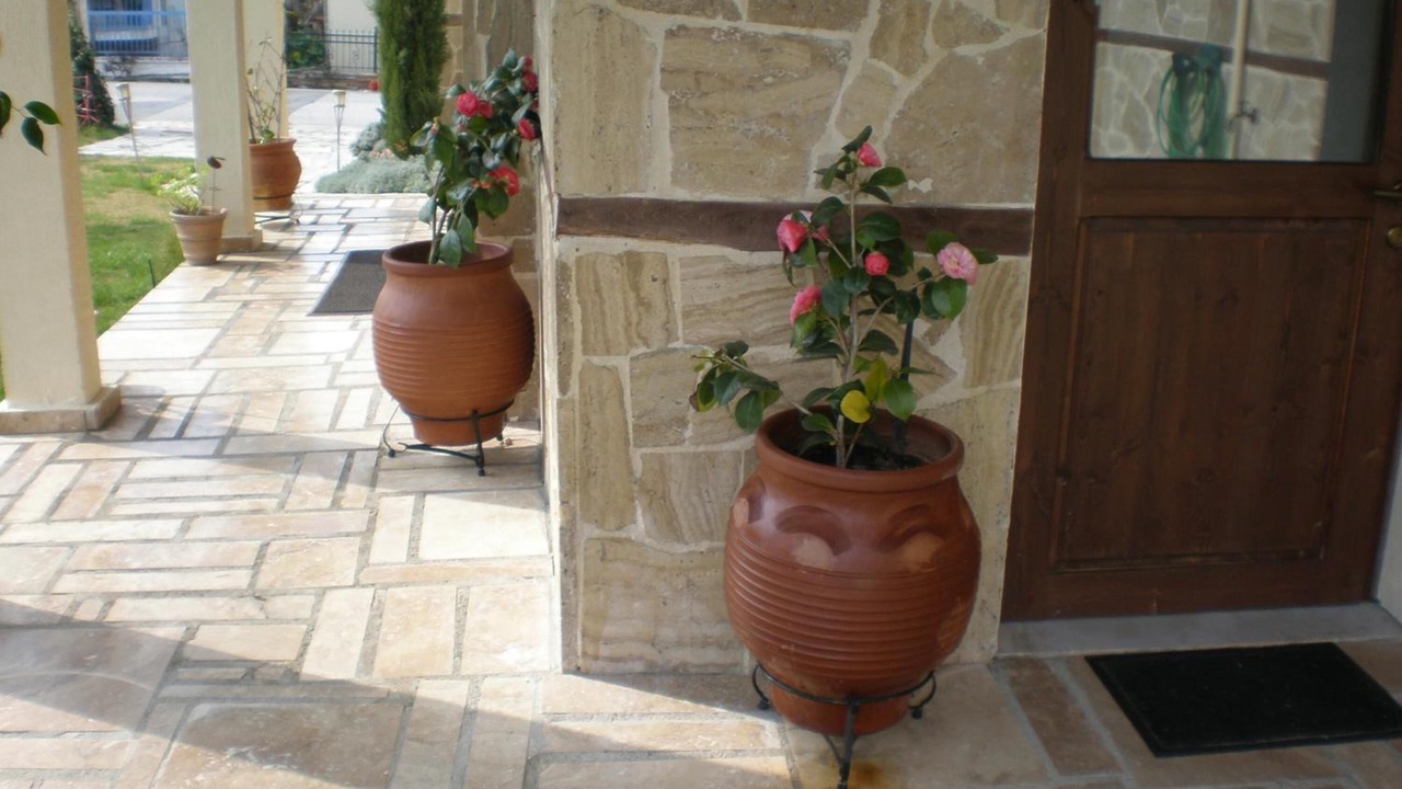 Photo of Outdoor in Vergina