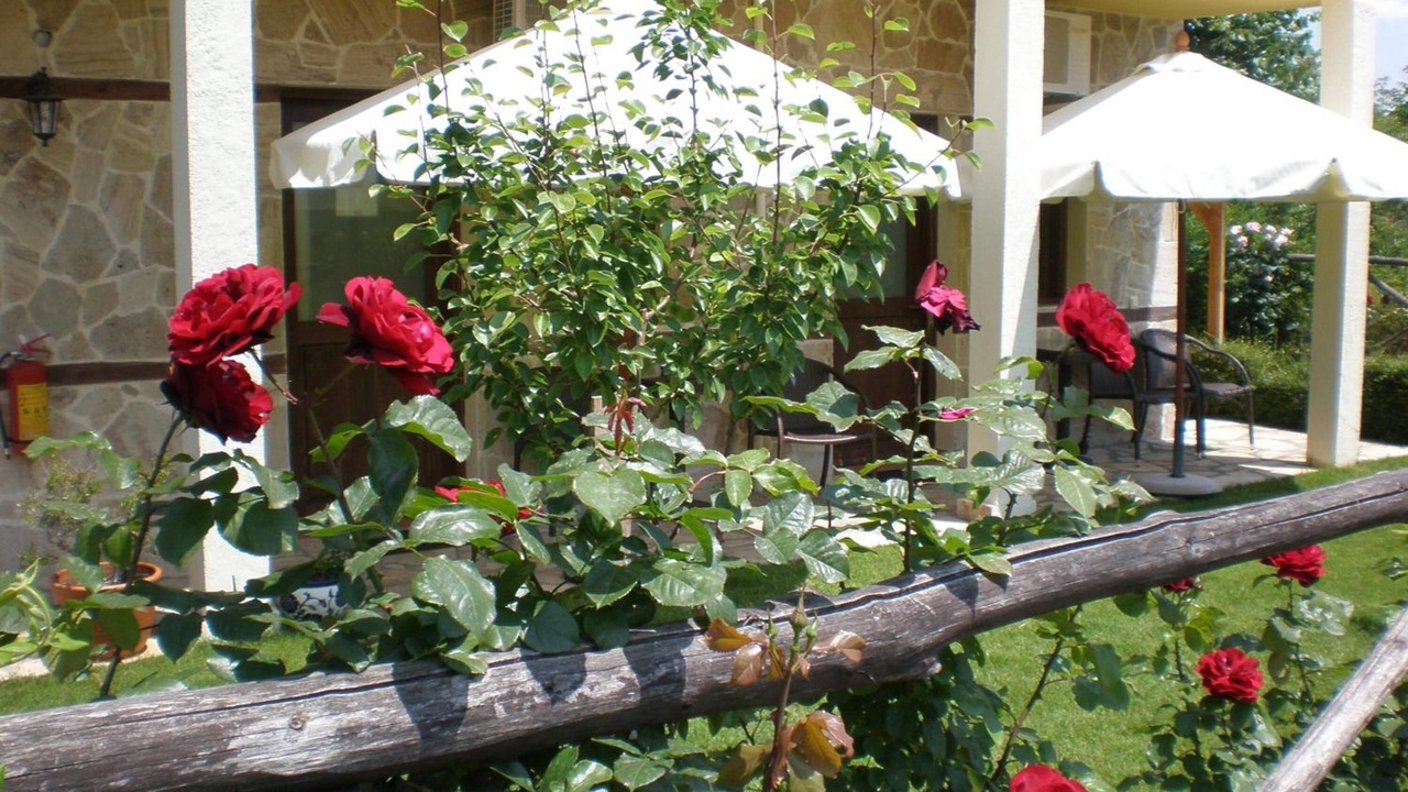 Photo of Outdoor in Vergina