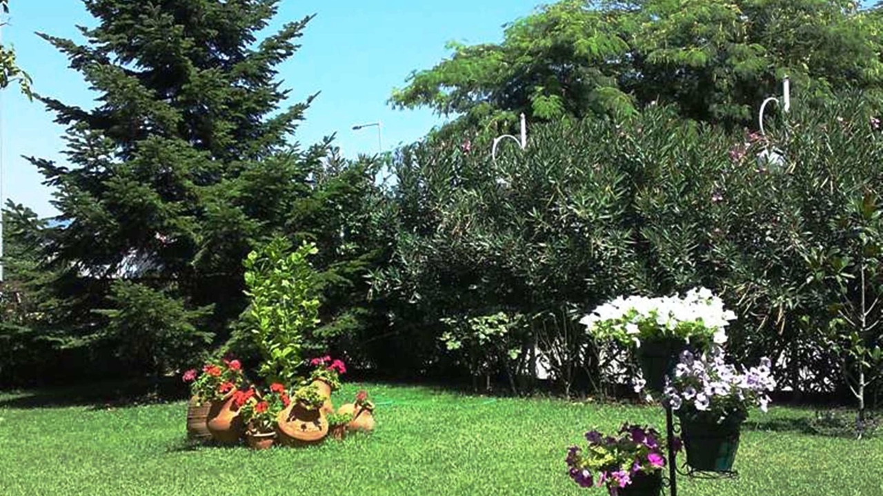 Photo of Outdoor in Komotini