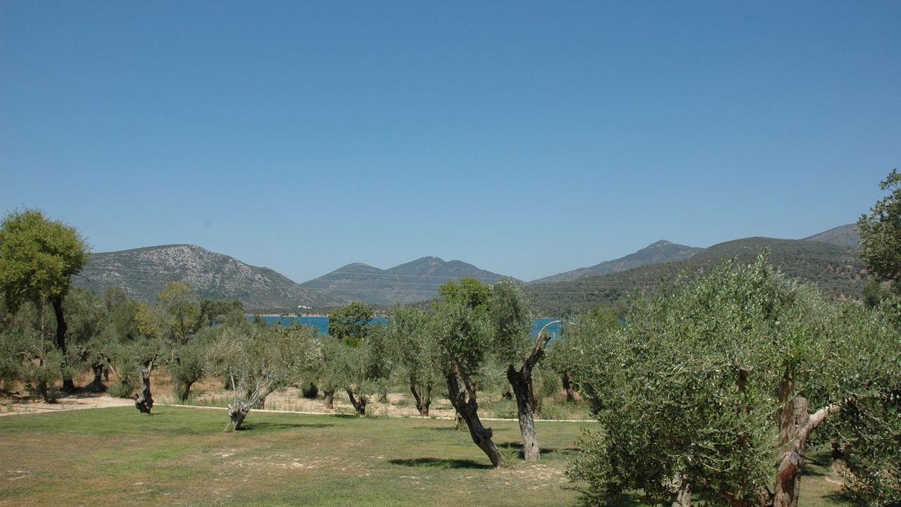 Photo of Outdoor in Gera